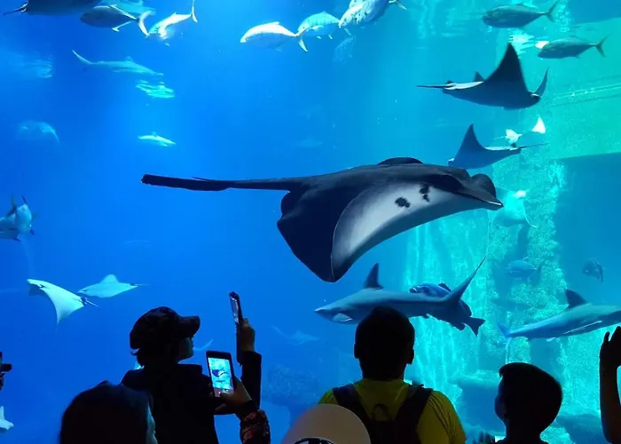 Premium 4you Apartment *